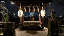 Ueno Private Walking Tour and Night Food Tour