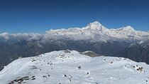 8 Days Private Pokhara Trekking to Khopra Hill