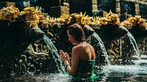 Full Day Best of Ubud Private Tour 