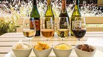 Cape Winelands Tour to Stellenbosch and Franschhoek