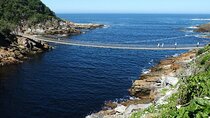 4 Day Garden Route Adventure Experience from Cape Town
