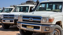Safari Jeep, Buggy, Camel, Quad, Dinner and Show in Hurghada