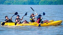 Sunrise Kayaking in Negombo