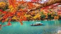 3 Days Private Osaka Kyoto and Nara Tour with English Driver