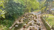 Jamaica Adventure: Bamboo Rafting, Negril Beach & Rick's Sunset