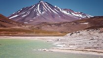 Full Day Private Tour of Piedras Rojas Altiplanic Lagoon Chaxa