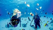 Scuba Diving with Lunch in Hurghada