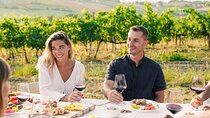Half Day Private Wine Tour from São Roque