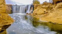 Whale Valley and Wadi El Rayan El Fayoum Day Tour from Cairo