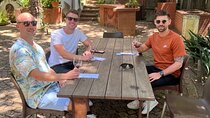 Private/Personalized Full Day Wine Tasting Tour Cape Winelands 