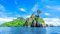 Premium 4 Islands one day tour by Speedboat plus Lunch Package
