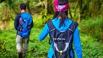 Day pass Iral Cloud Forest trails and lunch