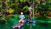 Rainbow Springs Paddle Adventure