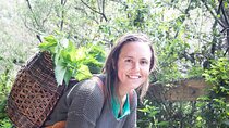 Herbalism walk in Sierra dela Tramuntana with Plant Expert 