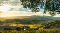 Day Private Russian River Valley Wine Tour from San Francisco
