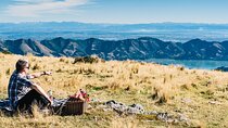 Christchurch Helicopter Picnic
