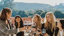  Small Group: Ultimate Napa and Sonoma Wine Tour- San Francisco