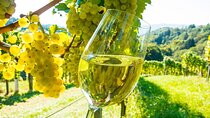 St Paul de Vence, Antibes & Wine Tasting from Cannes