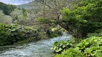Day Tour From Tirana : Ksamil (3h), Blue Eye Lekursi Castle