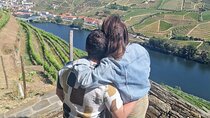 Douro Valley-Private Experience-Specialized Guide, Lunch, Boat,wineries,tastings