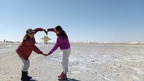 White & Black Desert Marvels and Bahariya Oasis Tour One day