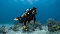Ras Mohammed National Park With 1 intro Dive - Sharm El-Shaikh