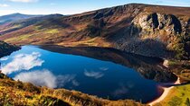 Private Day Trips from Dublin - Sheep Dog Demo & Glendalough