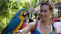 Private Konoko Falls and Sightseeing Tour from Ocho Rios 