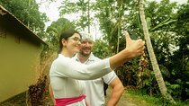 Private Balinese Purification and Blessing Ceremony in Tabanan