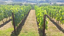 Private Transfer Florence to Siena with a Chianti Wine Tasting 