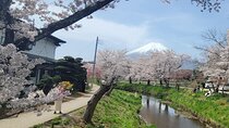Mt Fuji Day Tour by Car With English Speaking Chauffeurs