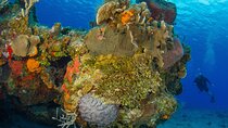 PADI Open Water Diver Course in the Riviera Maya 