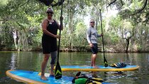 Paddle and Brew Adventure in Tavares with Beer Flight Tasting 