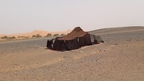 Private Day Trip to Safsaf Oasis in Merzouga Region 