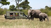  3 Days Safari Tour to Serengeti National Park