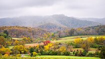 Full-Day Private Virginia Wine Tour Experience from Washington 