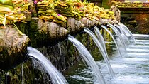 Ubud Bali: Rice Terrace, Waterfall and Tirta empul Day Tour