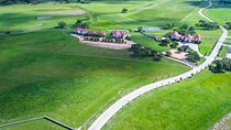 Half-Day Private Texas Hill Country Wine Tour from Austin