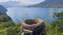  Best Highlights and Iconic of North West Bali - All Inclusive