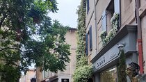 Private Day Trip to the Alpilles from Avignon