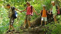 Drakensberg Mountains Full Day Tour From Durban