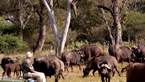 4 Day Kruger National Park Safari from Johannesburg & Pretoria