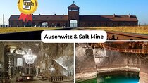 Krakow to Auschwitz Birkenau and Salt Mine 1 Day Tour FREE ebook 