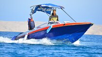 Swim with dolphin By Private Speed Boat and Sub wing Game - Hurghada 