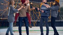 Austin’s Christmas Lights & Arts: A Yuletide Private Journey