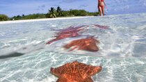 Full day tour to El Cielo in Cozumel Snorkeling and Lunch 