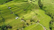 UNESCO Rice Terrace Jatiluwih with Tanah Lot Sunset Tour