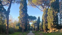 Private Tour with your Driver in Rome