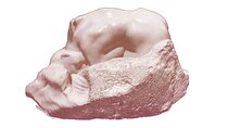 Rodin Museum: Skip-the-line Guided Tour with Artist