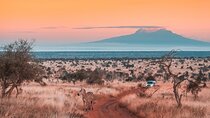 6 Days Mount Kilimanjaro Climbing via Rongai Route